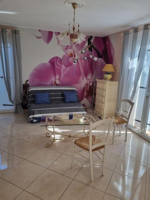 Agreable Maison Au Coeur De St Hilaire 圣伊莱尔·德列 外观 照片