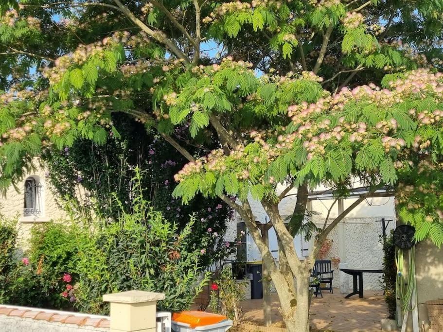 Agreable Maison Au Coeur De St Hilaire 圣伊莱尔·德列 外观 照片